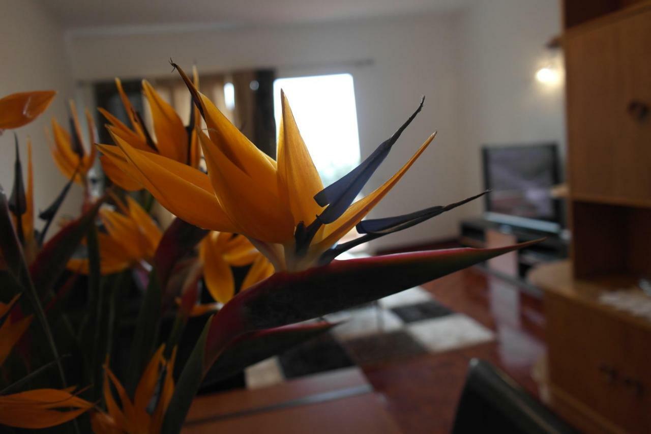 Inmaculado Apartment Funchal  Eksteriør bilde
